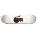 Search for cat skateboards Alice