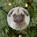Search for pug ornaments Portrait
