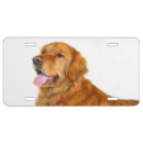 Search for golden retriever license plates Canine