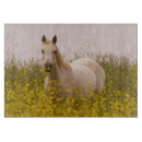 Search for landscape photography cutting boards horses