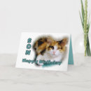 Search for calico cat birthday cards Pet