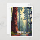 Search for sequoia national park postcards Usa