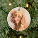 Search for vizsla ornaments Hungarian pointer