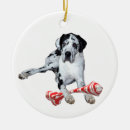 Search for great dane ornaments Pet