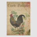 Search for french decoupage paper Bird