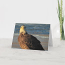 Search for eagle birthday cards Wildlife