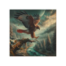 Search for red tail hawk art Raptor