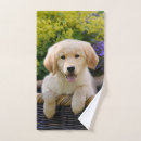 Search for dogs bath towels Cute