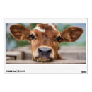 Search for cow wall decals Calf