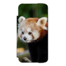 Search for panda iphone cases Wildlife