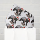 Search for funny tissue paper Illustration