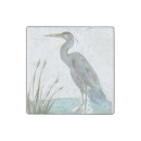 Search for magnetic coasters Beach