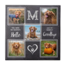 Search for memorial tiles In loving memory