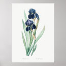 Search for vintage german posters Illustration