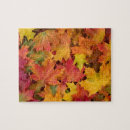 Search for fall foliage puzzles Autumn