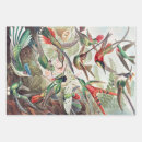 Search for hummingbird wrapping paper Kunstformen der natur