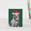 Search for blue heeler holiday cards Dog lovers