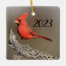 Search for red cardinal bird ornaments Animal