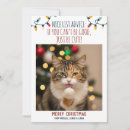 Search for funny cat quotes holiday cards Family