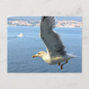 Search for airmail postcards Travel