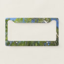 Search for colorado license plates Forest