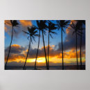 Search for hawaiian sunset posters Sunrise