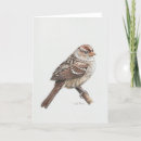 Search for sparrow cards White crowned sparrow
