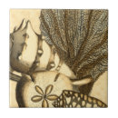 Search for sand dollar tiles Starfish