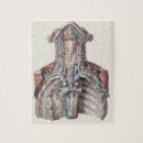 Search for human anatomy puzzles Vintage