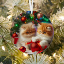Search for persian cat ornaments Kitten