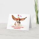 Search for basset hound birthday cards Ears
