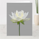 Search for sympathy message for flowers Celebration of life