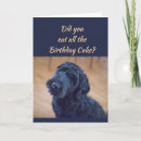 Search for black dog birthday cake Funny