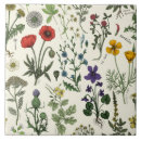 Search for dandelion tiles Botanical