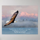 Search for eagle posters Mountains