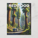 Search for redwood national park postcards Landscape