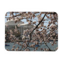 Search for washington dc magnets Bloom