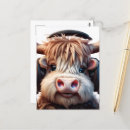 Search for scottish highland cow postcards Livestock