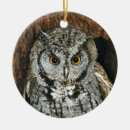 Search for owl ornaments Watercolor
