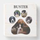 Search for photo pet memorials Forever in our hearts