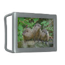 Search for baby belt buckles Wildlife