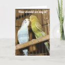 Search for veterinarian birthday cards Friend