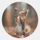 Search for christmas squirrel stickers Acorn