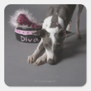 Search for floor stickers Pink