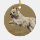 Search for cairn terrier ornaments Animal