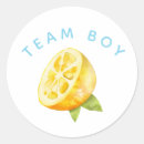 Search for team boy stickers Gender reveal party