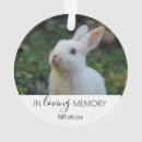 Search for rabbit memorial gifts Forever in our hearts