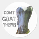 Search for goat stickers Livestock