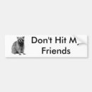 Search for raccoon bumper stickers Wild