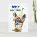Search for funny llama jokes cards Alpaca